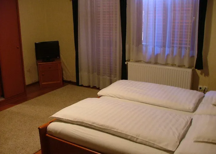 ゲストハウス Erdogyongye Etterem Es Panzio *