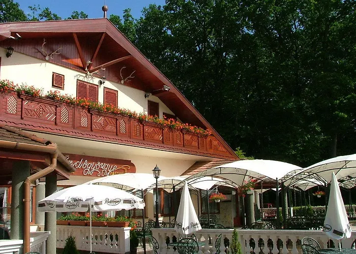 ゲストハウス Erdogyongye Etterem Es Panzio