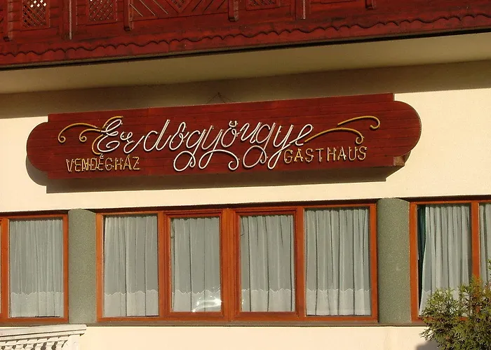 ゲストハウス Erdogyongye Etterem Es Panzio